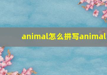 animal怎么拼写animal