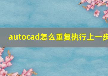 autocad怎么重复执行上一步