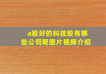 a股好的科技股有哪些公司呢图片视频介绍