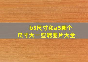 b5尺寸和a5哪个尺寸大一些呢图片大全