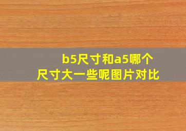 b5尺寸和a5哪个尺寸大一些呢图片对比