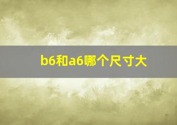 b6和a6哪个尺寸大