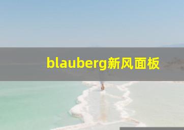 blauberg新风面板