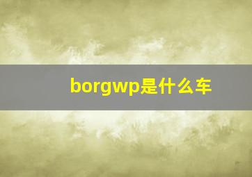 borgwp是什么车