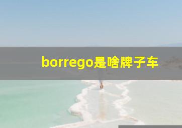 borrego是啥牌子车