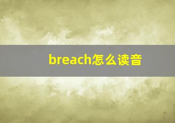 breach怎么读音