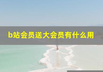 b站会员送大会员有什么用