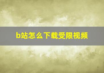 b站怎么下载受限视频