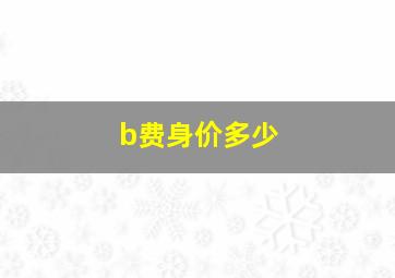 b费身价多少