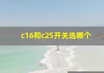 c16和c25开关选哪个