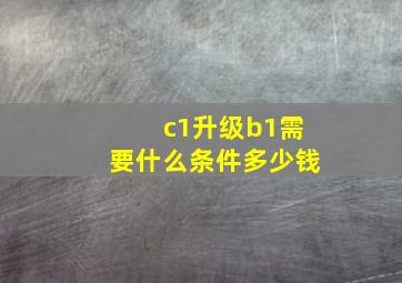 c1升级b1需要什么条件多少钱