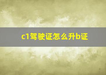 c1驾驶证怎么升b证