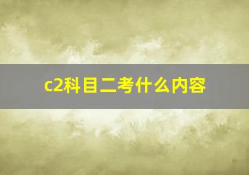 c2科目二考什么内容