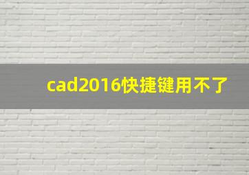 cad2016快捷键用不了