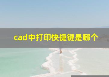 cad中打印快捷键是哪个