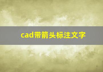 cad带箭头标注文字