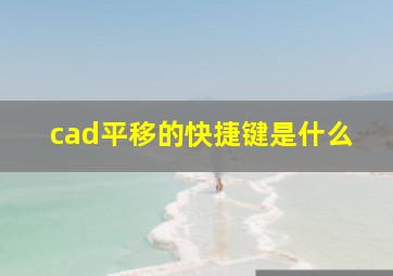 cad平移的快捷键是什么