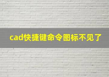 cad快捷键命令图标不见了