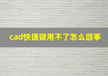 cad快捷键用不了怎么回事