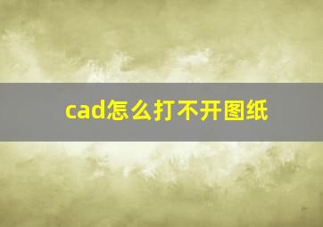 cad怎么打不开图纸