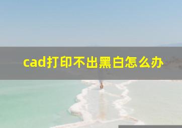 cad打印不出黑白怎么办