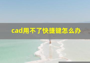 cad用不了快捷键怎么办