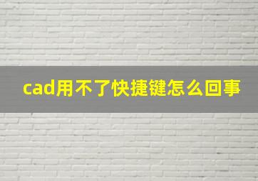 cad用不了快捷键怎么回事