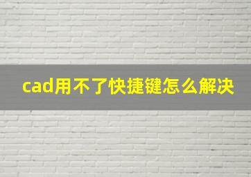 cad用不了快捷键怎么解决