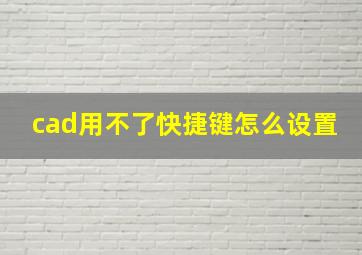 cad用不了快捷键怎么设置