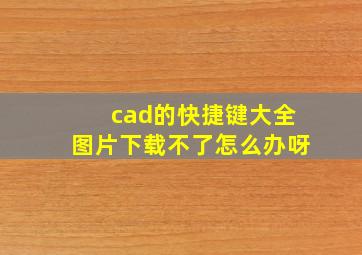 cad的快捷键大全图片下载不了怎么办呀