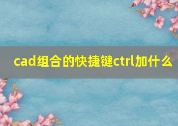 cad组合的快捷键ctrl加什么