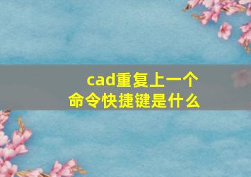 cad重复上一个命令快捷键是什么