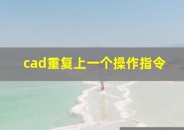 cad重复上一个操作指令