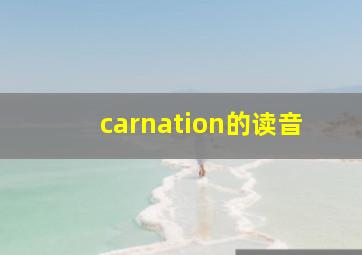 carnation的读音