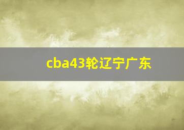 cba43轮辽宁广东