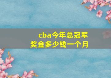 cba今年总冠军奖金多少钱一个月