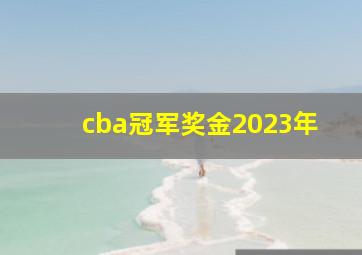 cba冠军奖金2023年