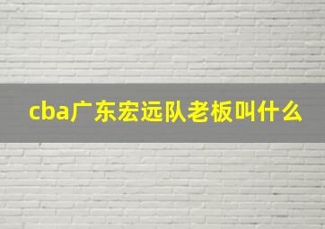 cba广东宏远队老板叫什么