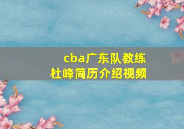 cba广东队教练杜峰简历介绍视频