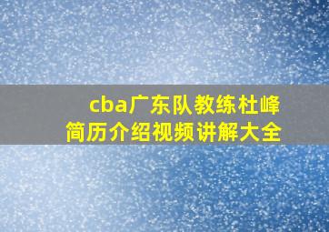 cba广东队教练杜峰简历介绍视频讲解大全