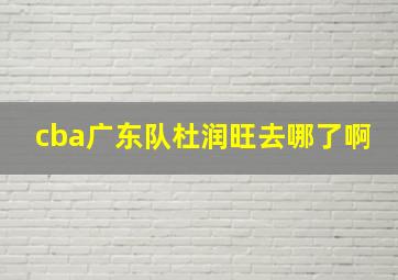 cba广东队杜润旺去哪了啊