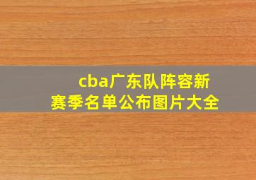 cba广东队阵容新赛季名单公布图片大全