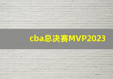 cba总决赛MVP2023