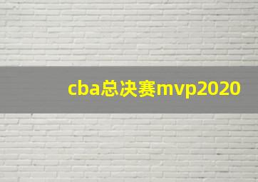 cba总决赛mvp2020