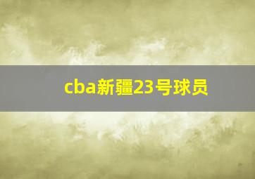 cba新疆23号球员