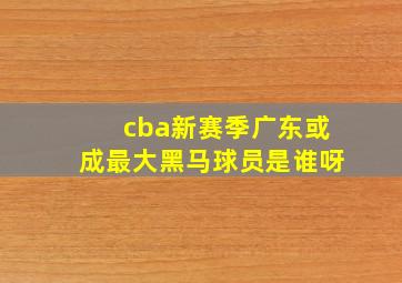 cba新赛季广东或成最大黑马球员是谁呀