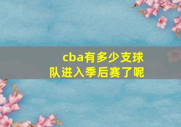 cba有多少支球队进入季后赛了呢