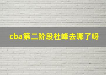 cba第二阶段杜峰去哪了呀