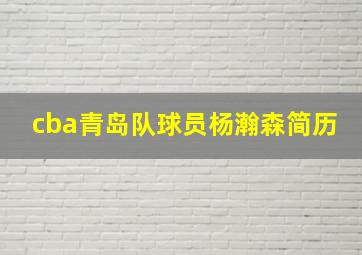 cba青岛队球员杨瀚森简历