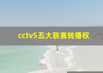 cctv5五大联赛转播权